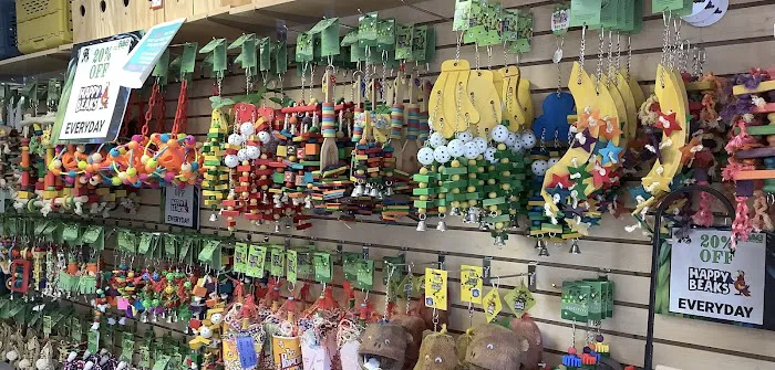 Parrotdise Bird Store & Boarding Picture 3