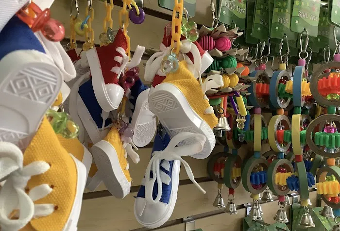 Parrotdise Bird Store & Boarding Picture 2