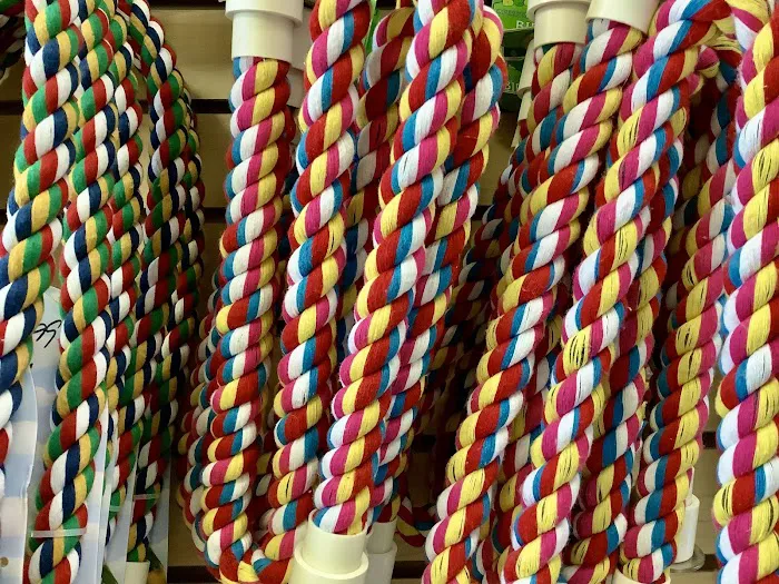 Parrotdise Bird Store & Boarding Picture 1