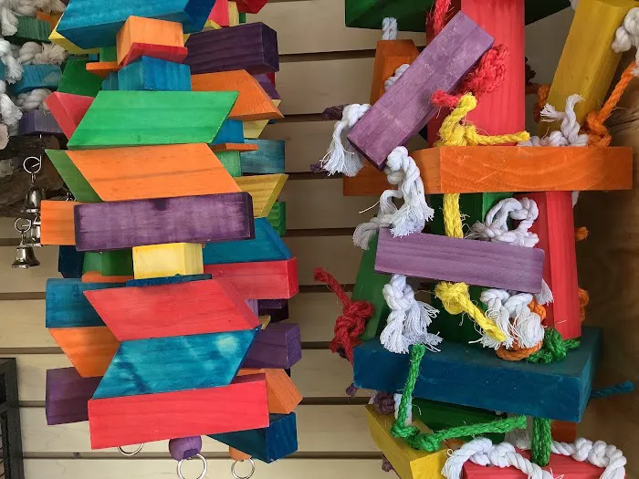 Parrotdise Bird Store & Boarding Picture 5