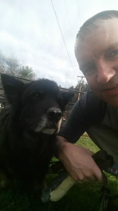 VCA Adams Animal Hospital Picture 4