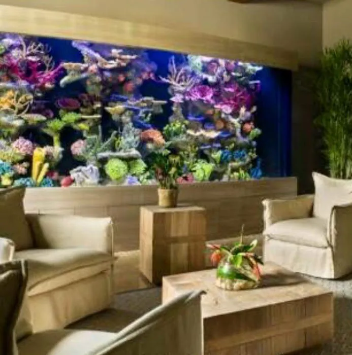 Aquarium Reef Illusions Picture 6