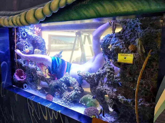 Aquarium Reef Illusions Picture 8