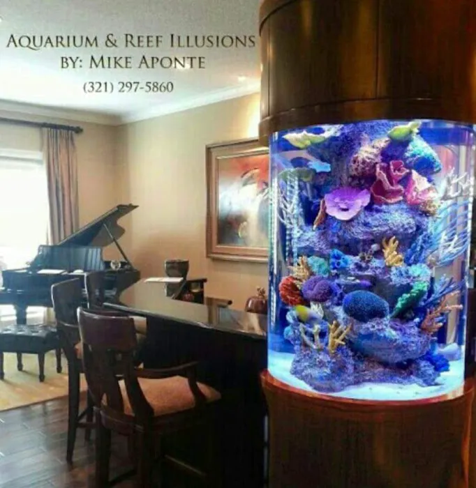 Aquarium Reef Illusions Picture 9