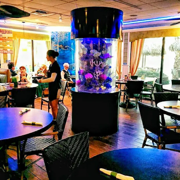 Aquarium Reef Illusions Picture 1