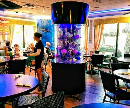 Aquarium Reef Illusions