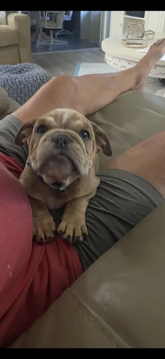 Patrick Cotter DVM Picture 5