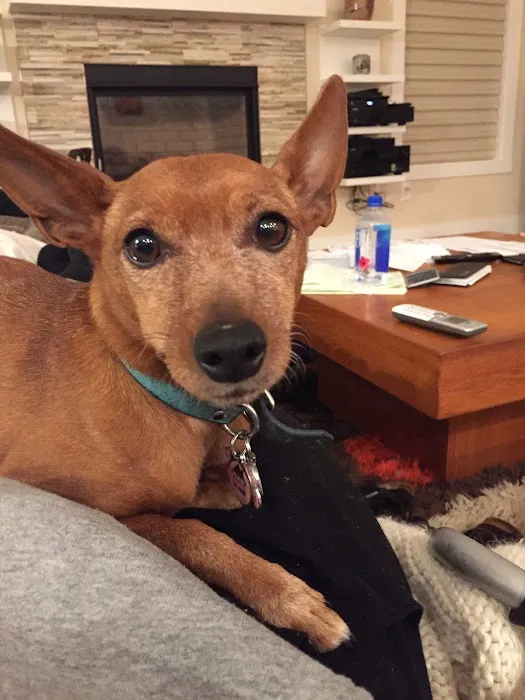 Patrick Cotter DVM Picture 2