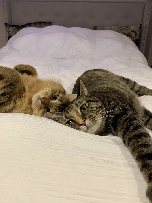 Patrick Cotter DVM Picture 3