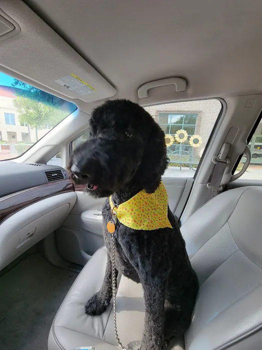 Gurrs & Purrs Boutique Picture 7