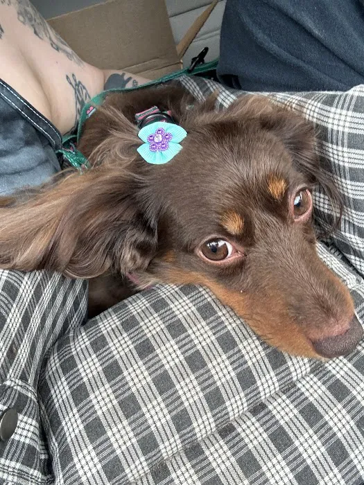 Gurrs & Purrs Boutique Picture 8