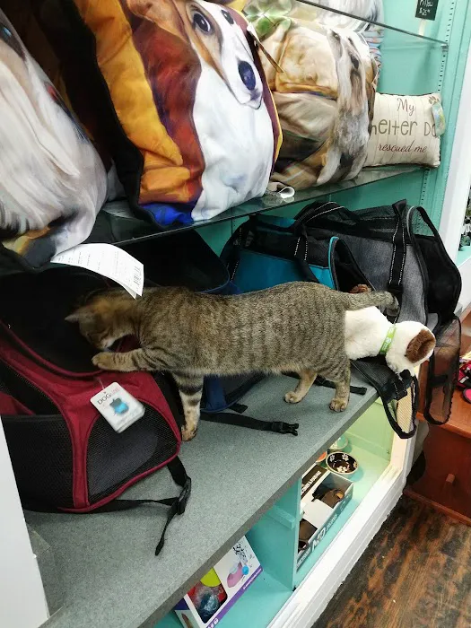 Gurrs & Purrs Boutique Picture 1