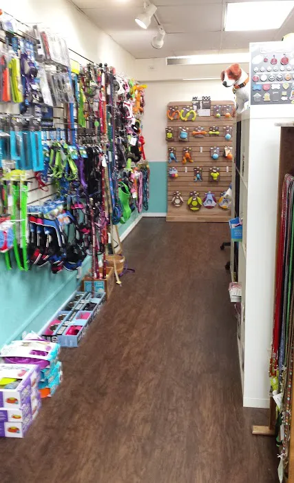 Gurrs & Purrs Boutique Picture 9