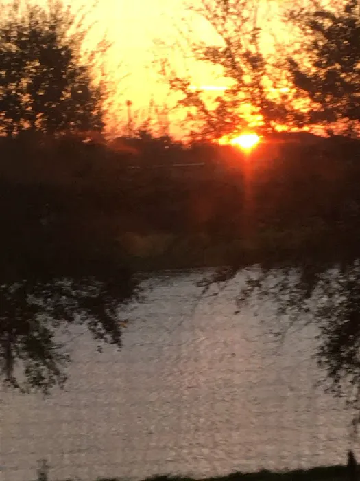 Mikes Cichlids Picture 2