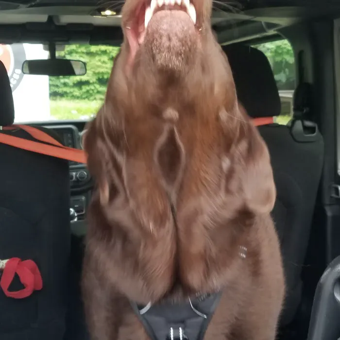 Trailside Veterinary Services Picture 2