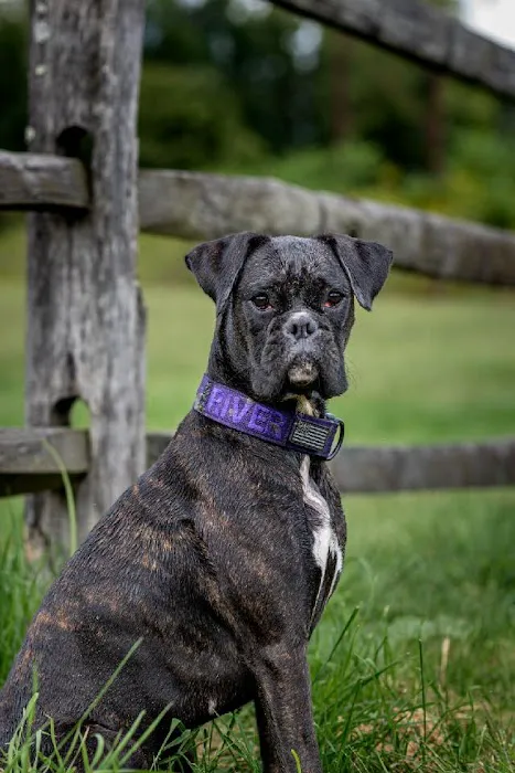 Trailside Veterinary Services Picture 3