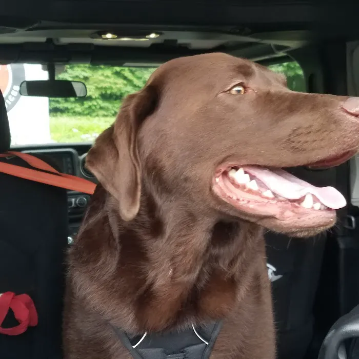 Trailside Veterinary Services Picture 4