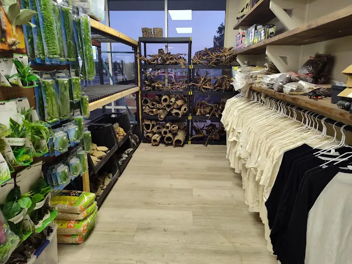 Giant Radioactive Turtle, Reptiles and More! Picture 10