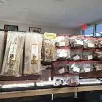 Giant Radioactive Turtle, Reptiles and More! ico