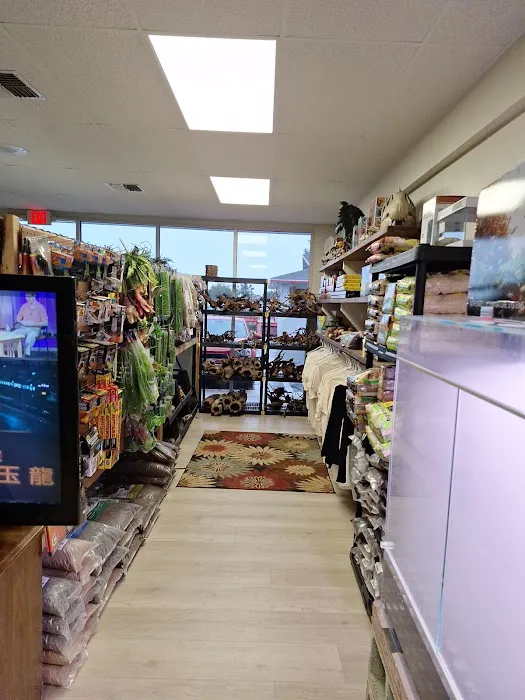 Giant Radioactive Turtle, Reptiles and More! Picture 2