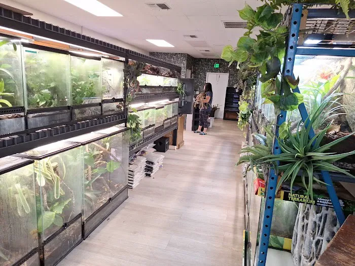 Giant Radioactive Turtle, Reptiles and More! Picture 3