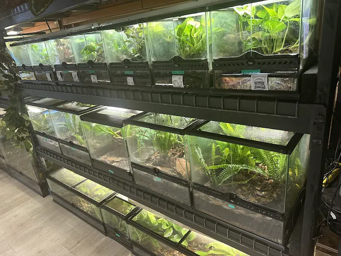 Giant Radioactive Turtle, Reptiles and More! Picture 9