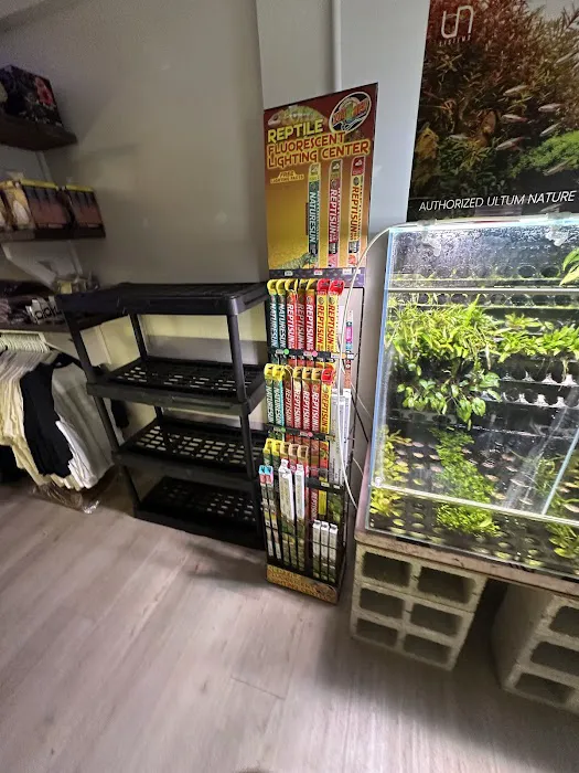 Giant Radioactive Turtle, Reptiles and More! Picture 4