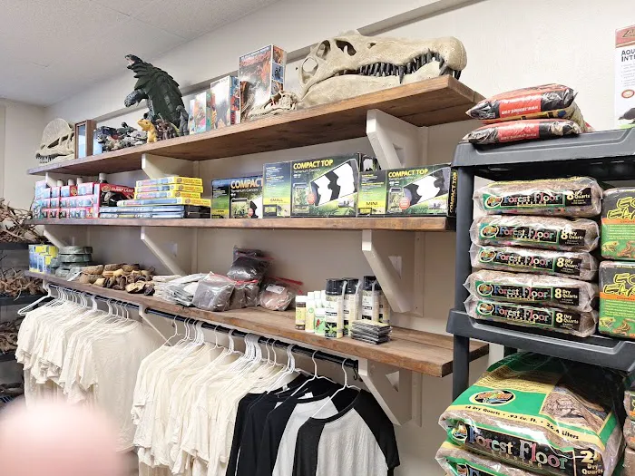 Giant Radioactive Turtle, Reptiles and More! Picture 6