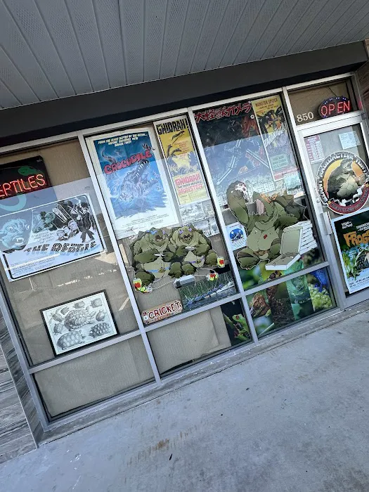 Giant Radioactive Turtle, Reptiles and More! Picture 7