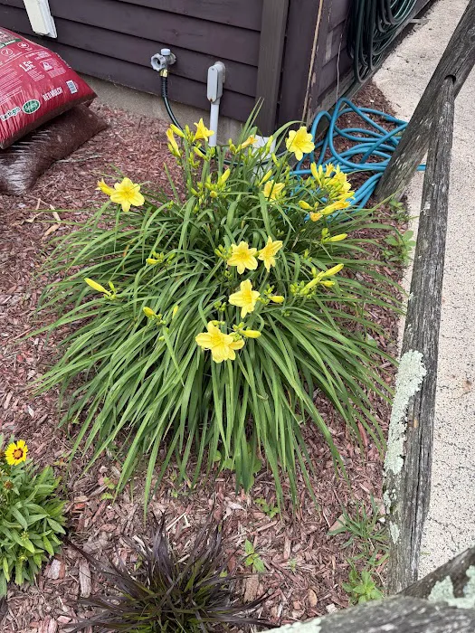 Pioneer Valley Veterinary Hospital, Inc Picture 3