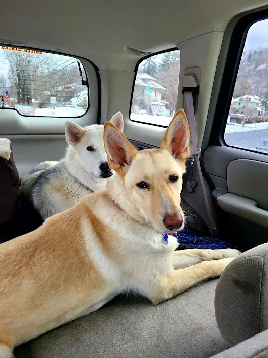 Pioneer Valley Veterinary Hospital, Inc Picture 4