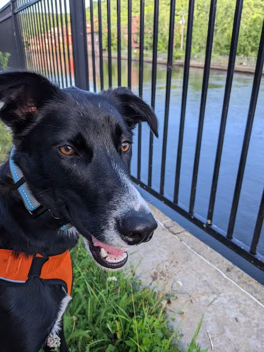 Pioneer Valley Veterinary Hospital, Inc Picture 8