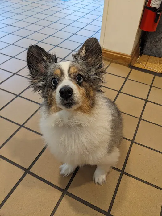 Brookside Animal Hospital Picture 3