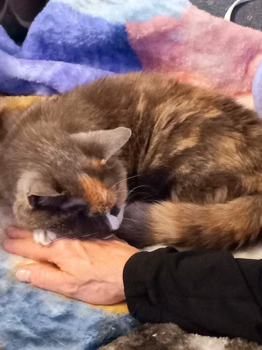 Brookside Animal Hospital Picture 8