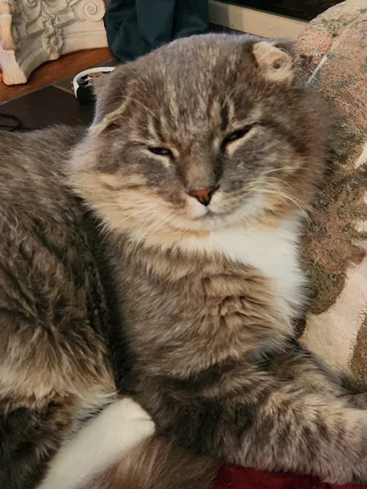 Brookside Animal Hospital Picture 10