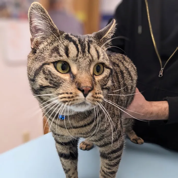 Brookside Animal Hospital Picture 2