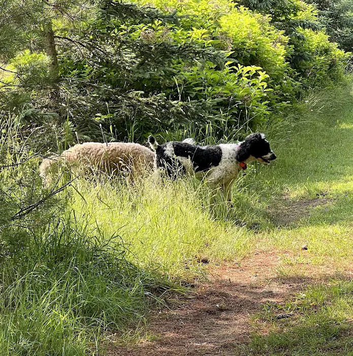 Brookside Animal Hospital Picture 9