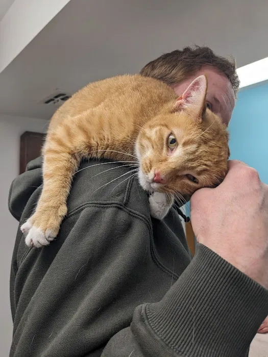 Brookside Animal Hospital Picture 7