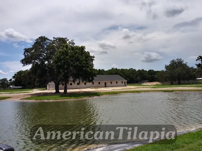 American Tilapia Pond liners & Tarps Picture 10