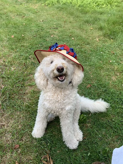 Shelburne Falls Vet Hospital Picture 2