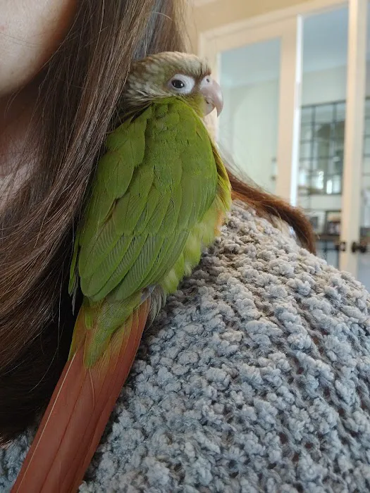 Just4Birds Picture 1