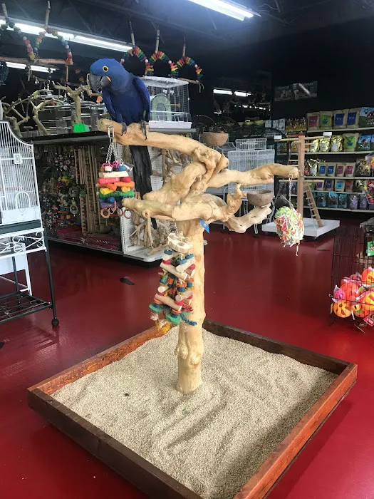 Just4Birds Picture 6