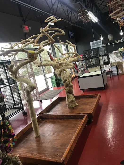 Just4Birds Picture 7