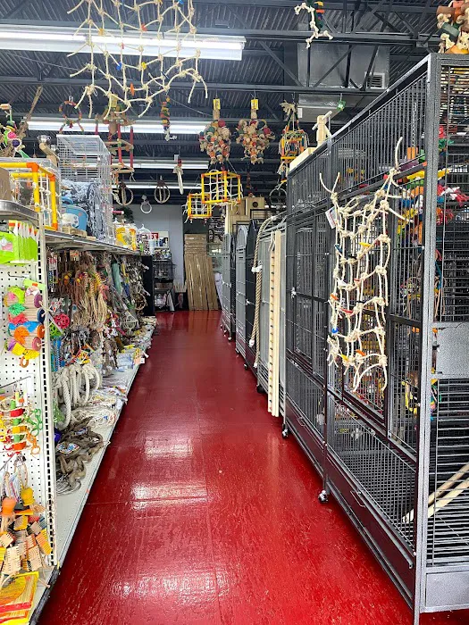 Just4Birds Picture 10