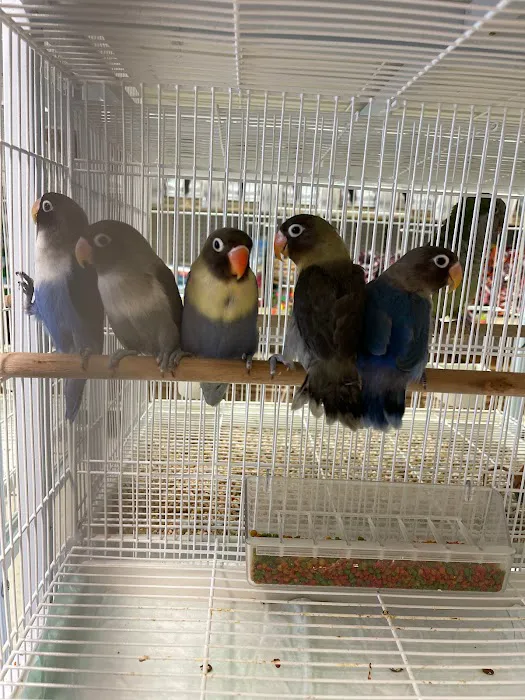 Just4Birds Picture 9