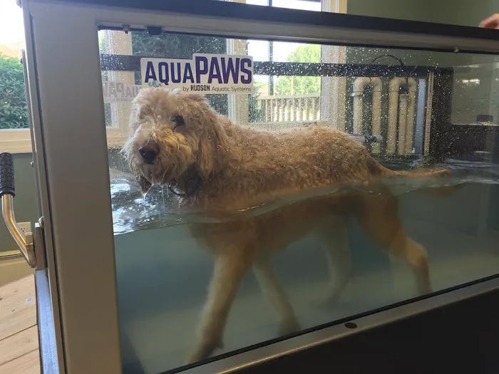 Advanced Veterinary Specialty Center of New England Picture 8