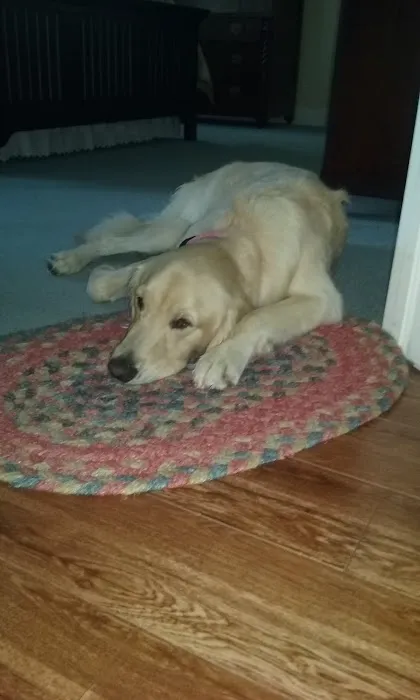 Pet Supplies Plus Valrico Picture 4