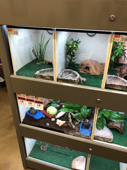 Pet Supplies Plus Valrico Picture 2