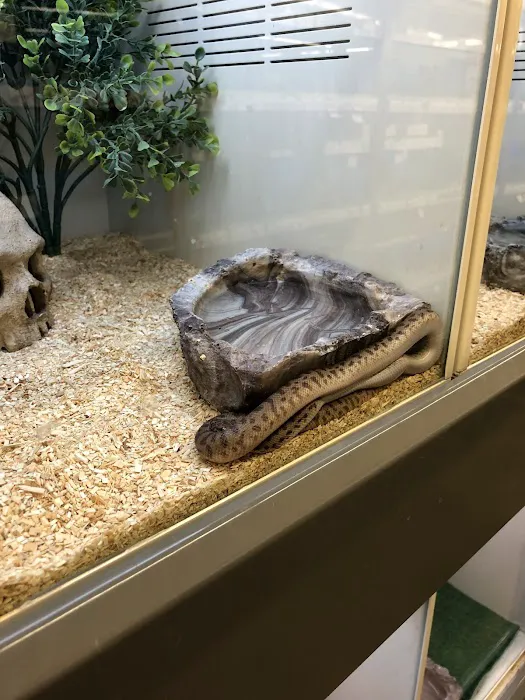 Pet Supplies Plus Valrico Picture 1