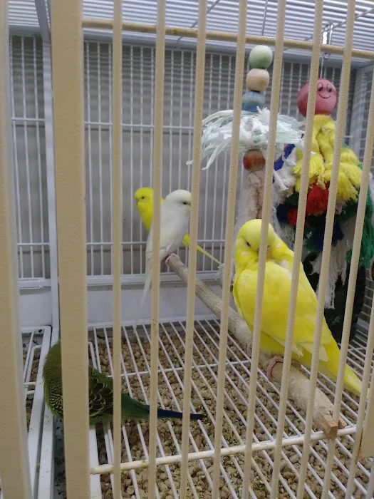 Pet Supplies Plus Valrico Picture 8